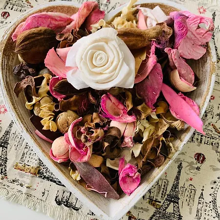 Apartman Kiwi Gardens *