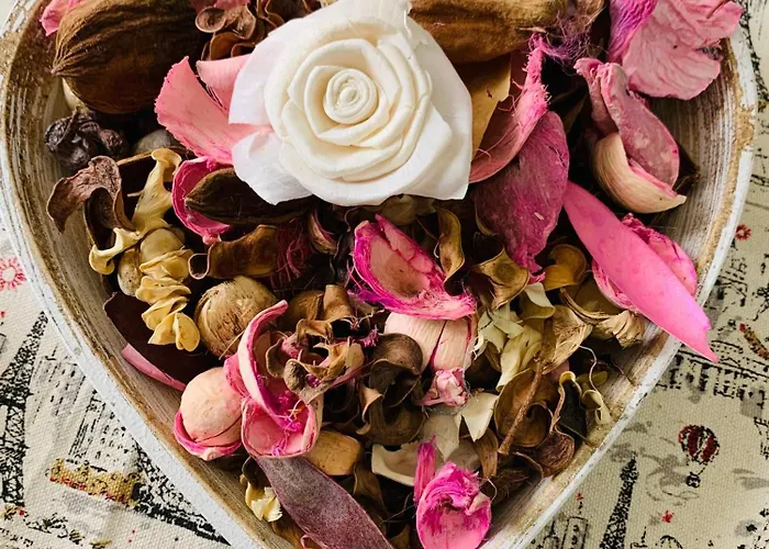 Appartement Kiwi Gardens *